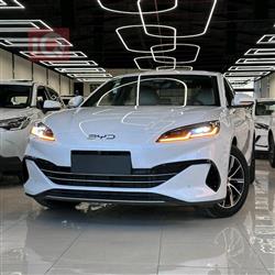 بي واي دي سيل 06 DM-i